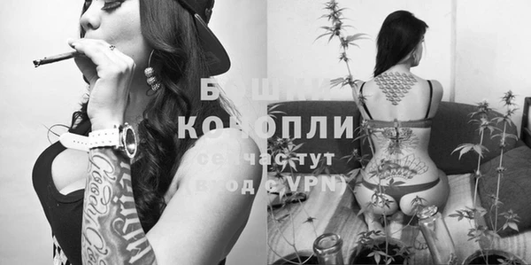 спиды Волосово