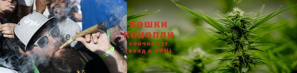 спиды Волосово