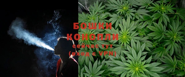 молекула духа Володарск