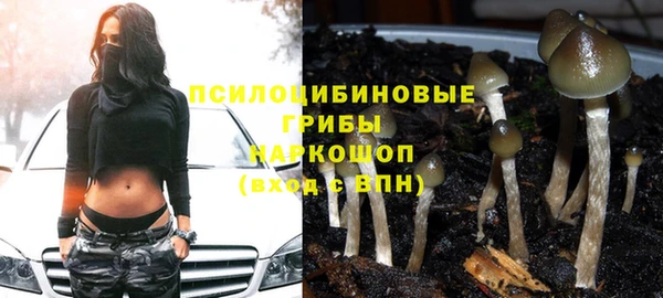 молекула духа Володарск
