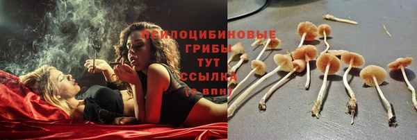 экстази Волоколамск