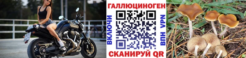 Купить Алупка Псилоцибиновые грибы ЛСД