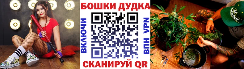 Купить закладки  Алупка  Бошки марихуана семена 